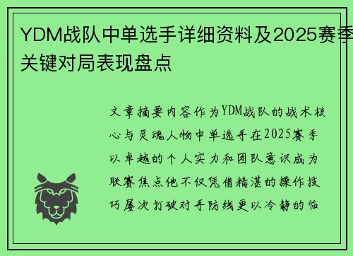 YDM战队中单选手详细资料及2025赛季关键对局表现盘点